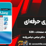 دانلود پی دی اف کتاب پرستاری حرفه‌ای دکتر عباس عباس‌زاده
